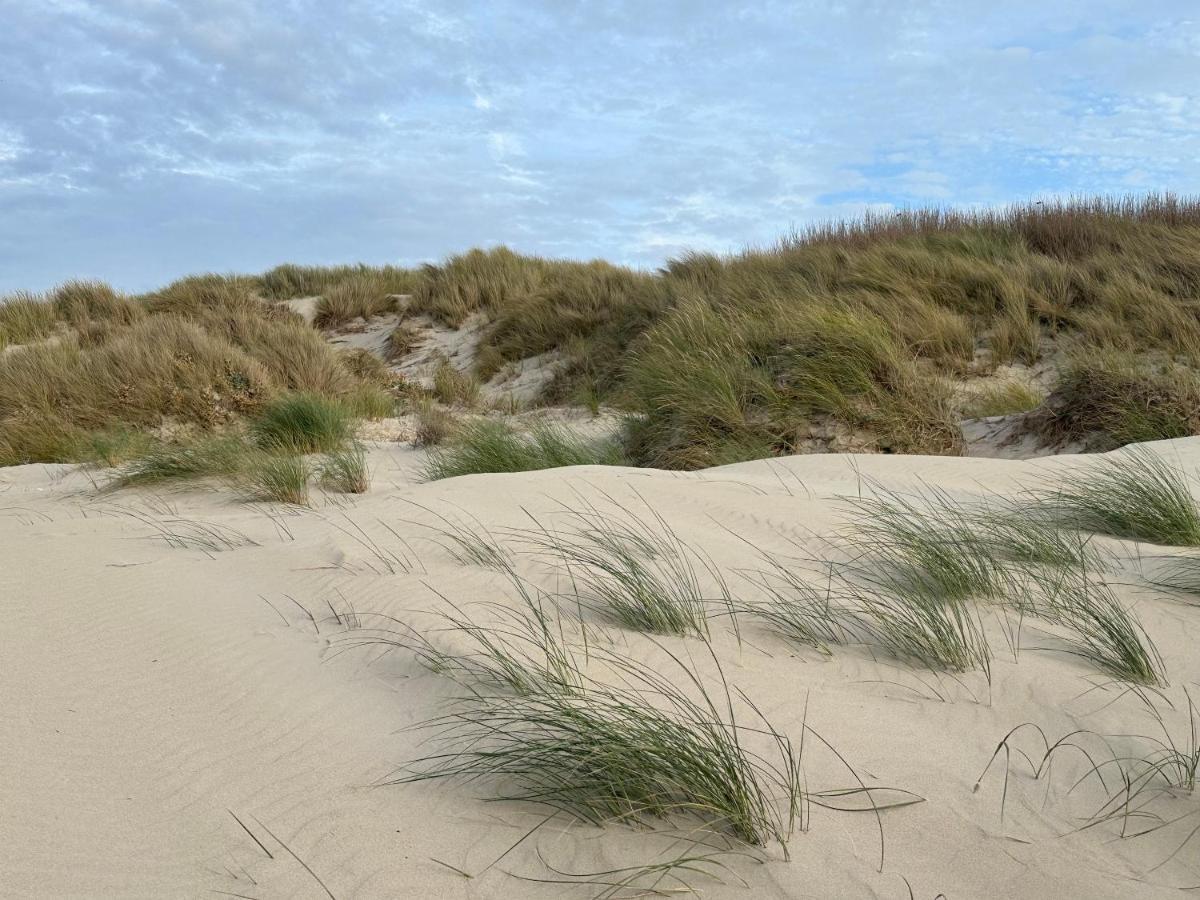 Appartement Plage Merlimont 10 Mn Berck Le Touquet Avec Jardin Dış mekan fotoğraf
